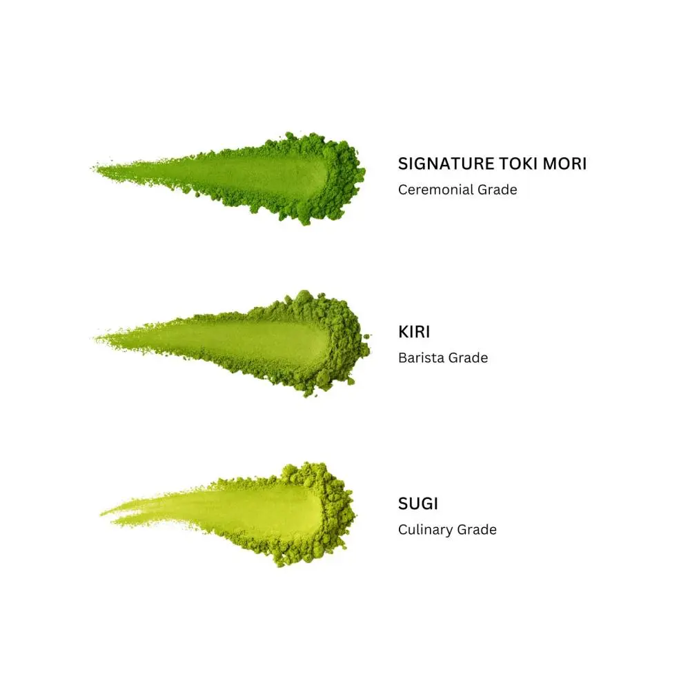 Toki_Mori_Matcha_Powder_Swatches (1).webp