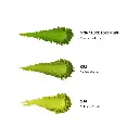 Toki_Mori_Matcha_Powder_Swatches (1).webp